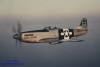 P-51