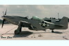 P-51