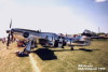 P-51