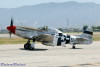 CHN.p51_1741t