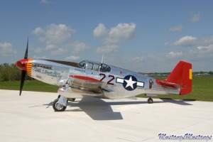 P-51 Mustang 42-103831