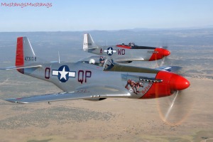 P-51 Mustang 44-72907