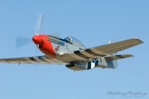 P-51 Mustang 44-73339