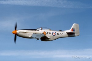 P-51 Mustang 44-74311