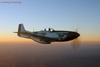 P-51 Mustang