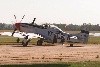 P-51 Mustang