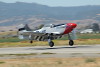 P-51 Mustang