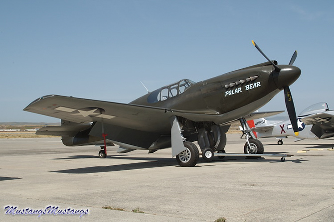 43-6006 N51Z Polar Bear