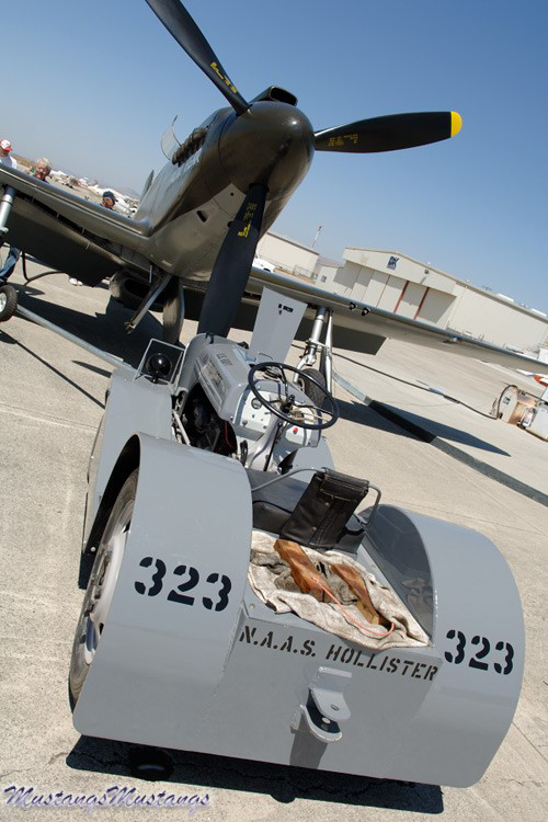 43-6006 N51Z Polar Bear