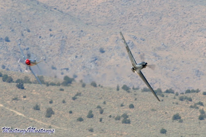 43-6006 N51Z Polar Bear