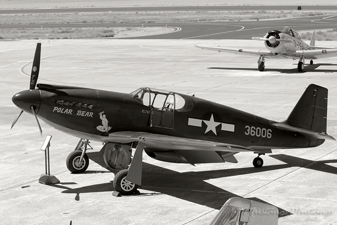 43-6006 N51Z Polar Bear