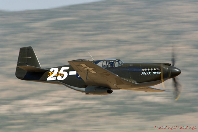 P-51 Polar Bear