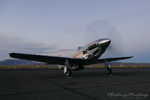RN7_0035ds.jpg