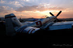 RN7_7034ds.jpg
