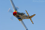 RN7_7581ds.jpg