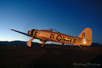 RN7_8104ds.jpg