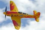 RN7_9573ds.jpg