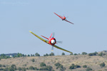 RN8_3029cs.jpg