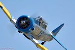RP6_3740s.jpg