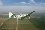 MF8_1675ds.jpg