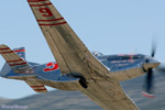 RN5_6958Ms.jpg