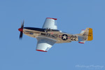 RN7_9582ds.jpg