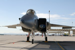 LV5_8062s.jpg