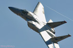 LV5_8242s.jpg