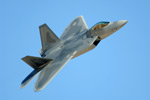 LV5_8286s.jpg
