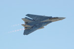 f14_7977wps.jpg