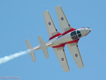 snowbirds.7506s.jpg