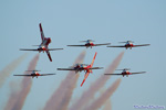 snowbirds.7673s.jpg