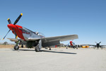 AA5_1272s.jpg