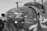 MF8_1765_bws.jpg
