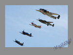 Nellis_HF_ww2a_1s.jpg