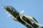 RN5_5842Ms.jpg