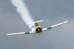 SD6_9818s.jpg