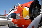 WW5_1256s.jpg