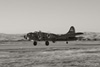 3o7_B-17_2bwt.jpg