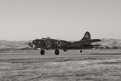 P-51 Mustang at Warbirds