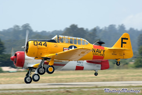 P-51 Mustang at Warbirds