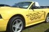 01_GTconv_yellow_w7_1t.jpg