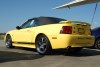04_roush_yellow_w7_5t.jpg