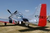 OK6_4466t.jpg