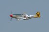 OK6_5243t.jpg