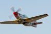 OK6_6169t.jpg