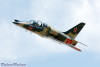 RN5_7002t.jpg
