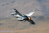 RN5_5726t.jpg