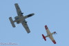 RN5_6146t.jpg