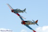 RN5_6526t.jpg